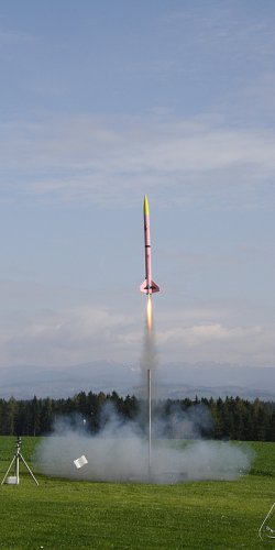 2013 Svojek Mirek Topinka